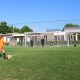 IMG 1776