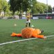 IMG 1812