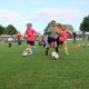 IMG 1842